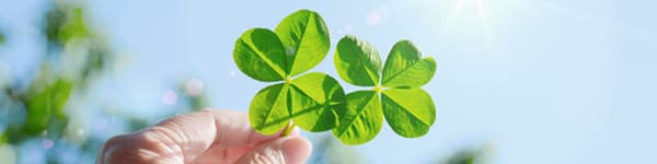 プライバシーポリシー